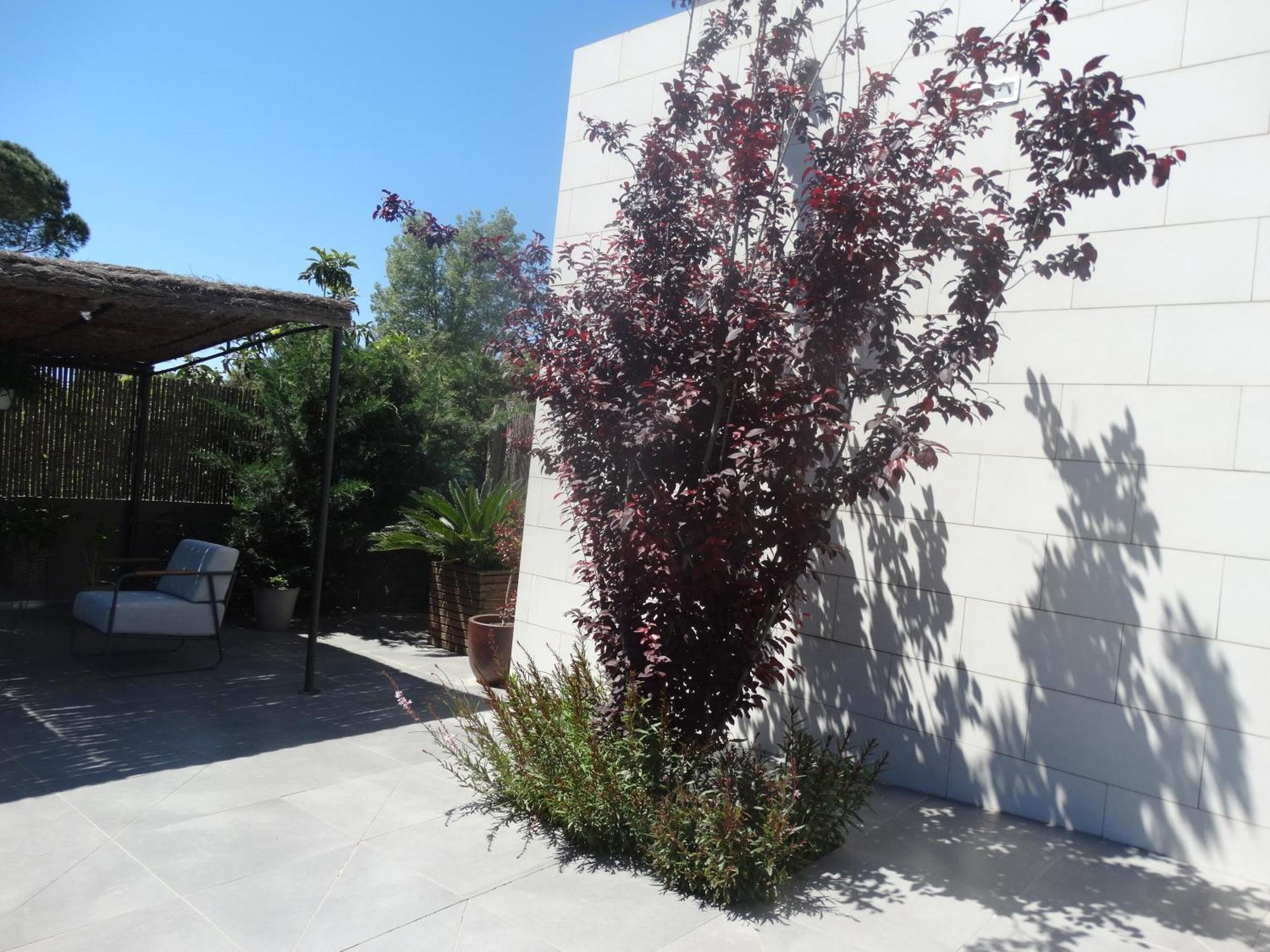 קאלדס דה מאלבלה Casa Atenea מראה חיצוני תמונה